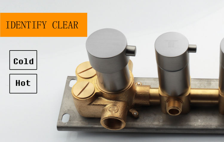 رأس دش الأمطار