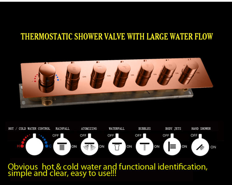 رأس دش محمول باليد