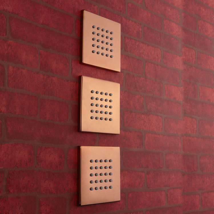 رأس دش المطر