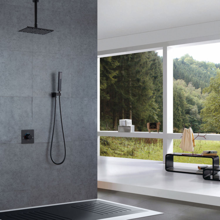 نظام لوحة الدش