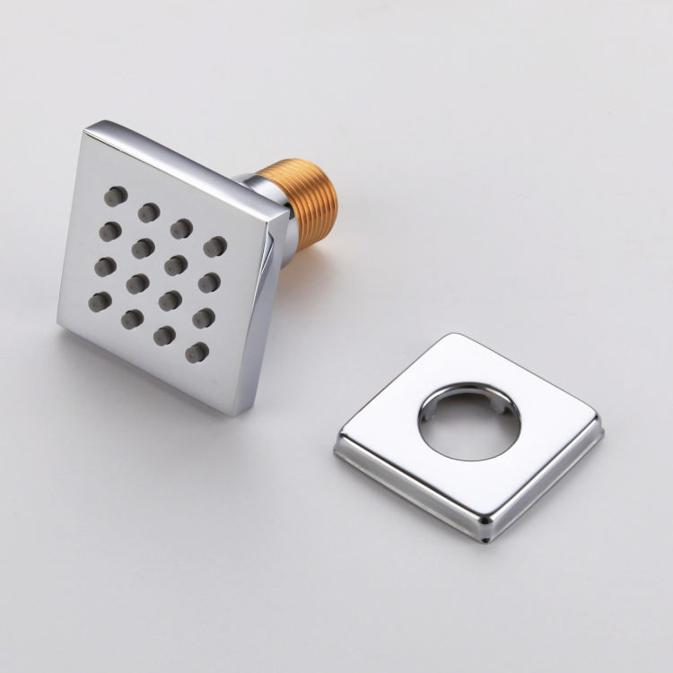 رؤوس دش الأمطار