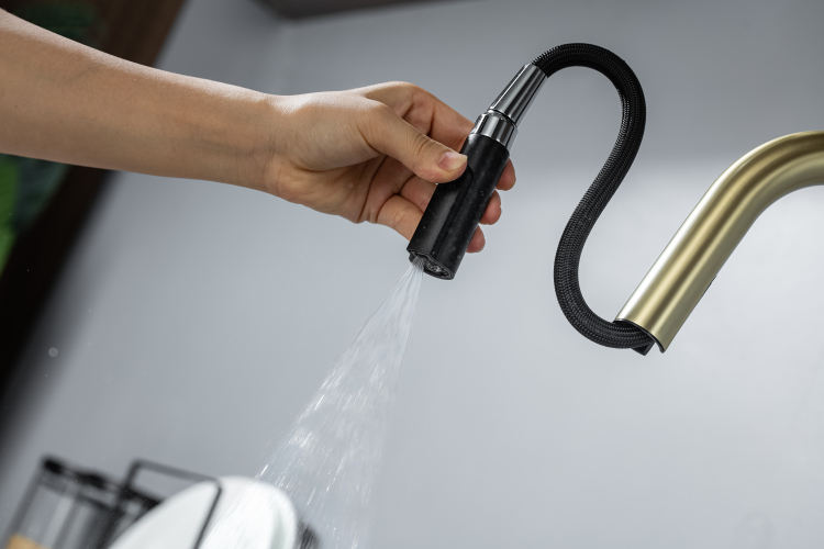 صنابير المطبخ مع البخاخ