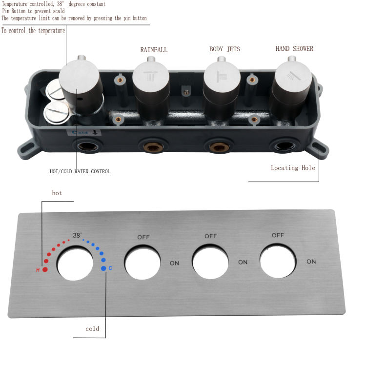 نظام دش الجسم