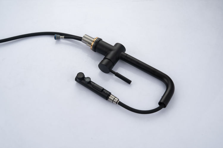 صنبور المطبخ الأسود