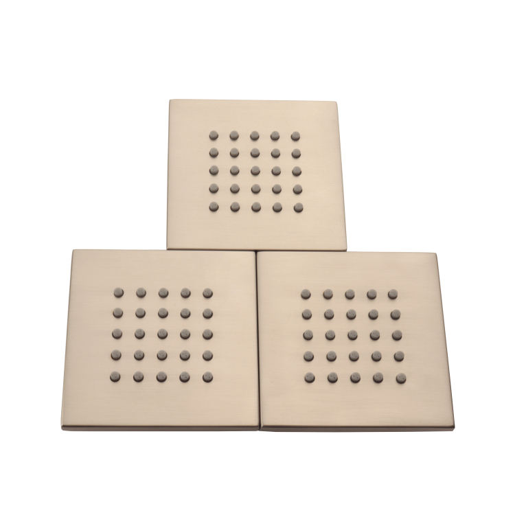 رأس دش مطري من النيكل المصقول