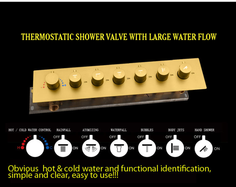 أنظمة الاستحمام الفاخرة