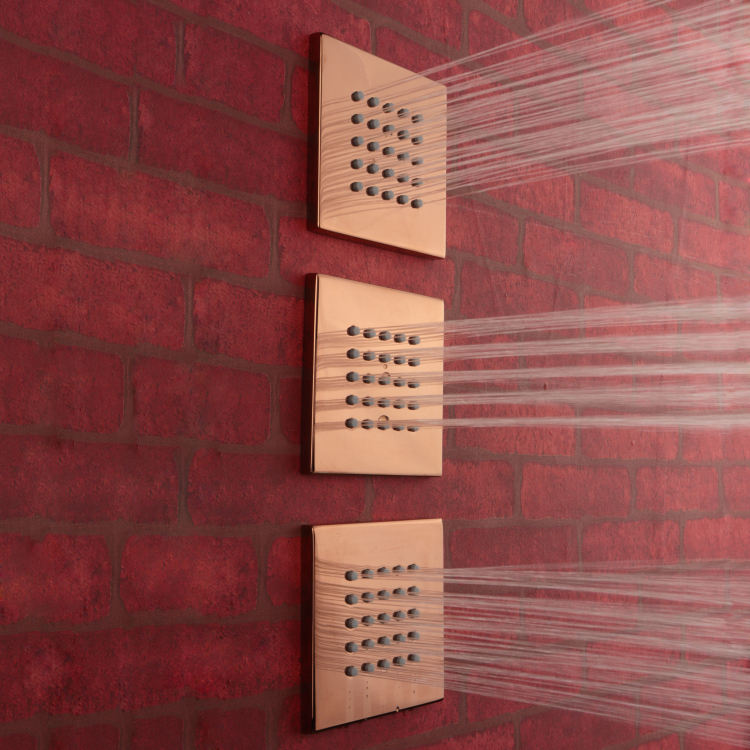 رأس دش هيدروجيت