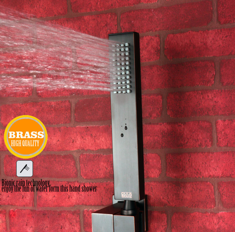 رأس دش أسود