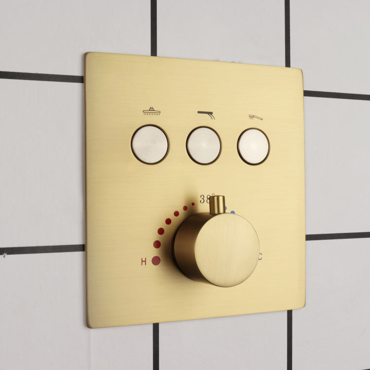 رأس دش مع مجموعة محمولة مع صمام